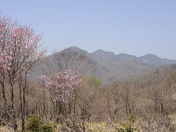 袈裟丸山