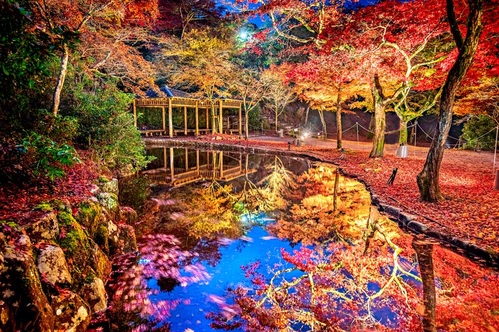 秋祭りの写真