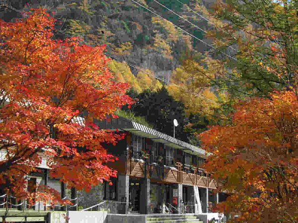 有明荘周辺の紅葉