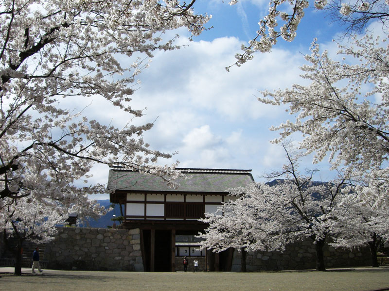 松代城跡の桜