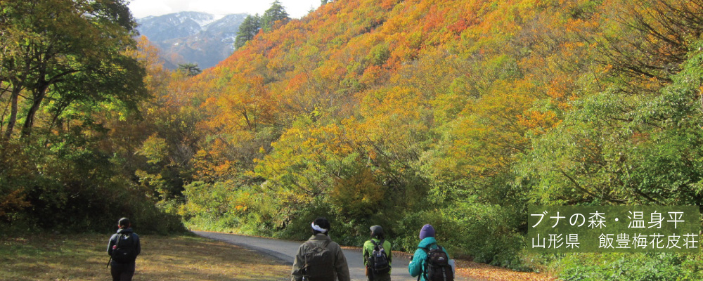 飯豊梅花皮荘と紅葉