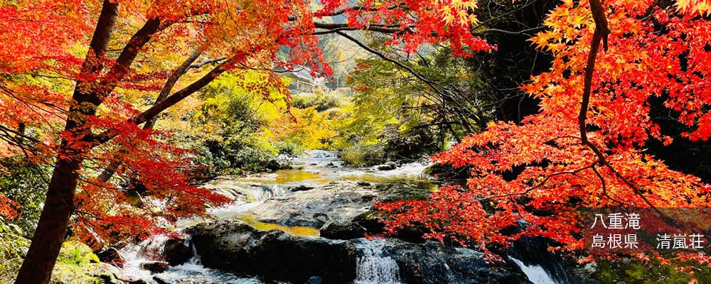 八重滝 紅葉