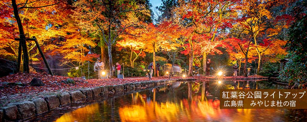 紅葉谷公園ライトアップ