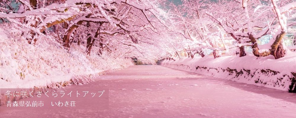 冬に咲くさくらライトアップ