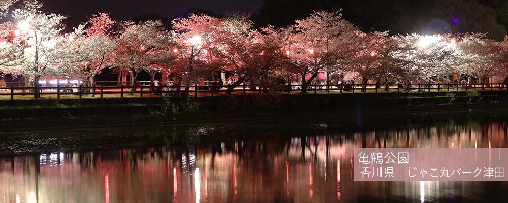 亀鶴公園