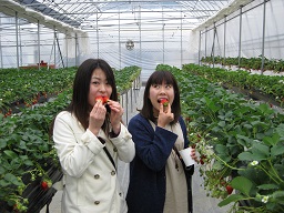 いちご狩り