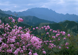 両神山