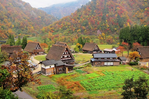 菅沼合掌造り集落