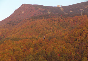 蔵王の紅葉