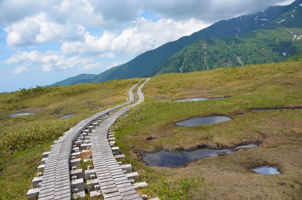 弥陀ヶ原湿原