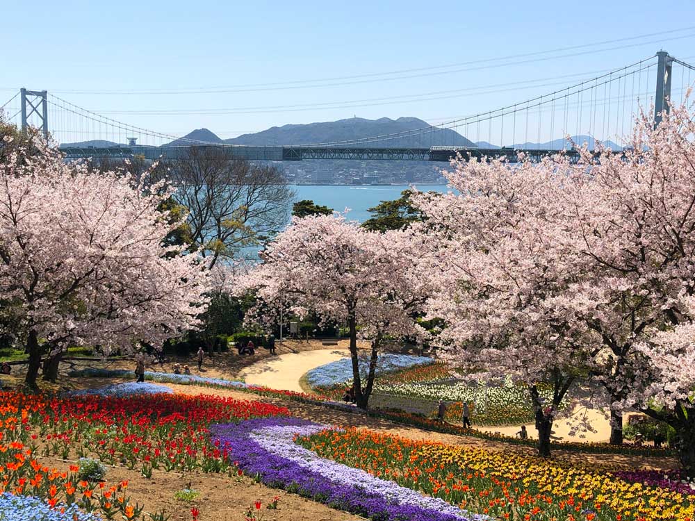 春の火の山公園
