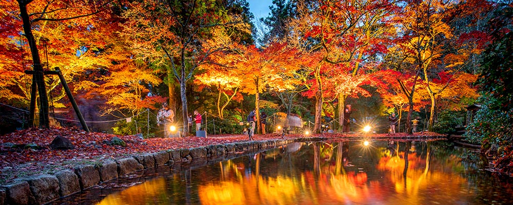 紅葉の写真