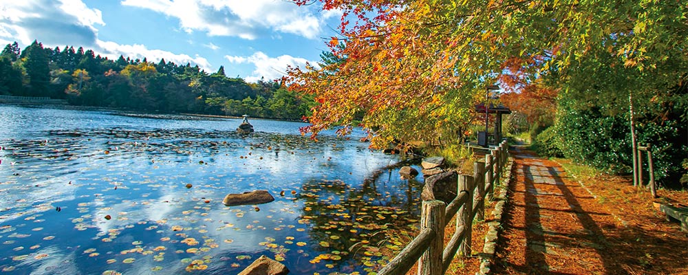 紅葉の写真