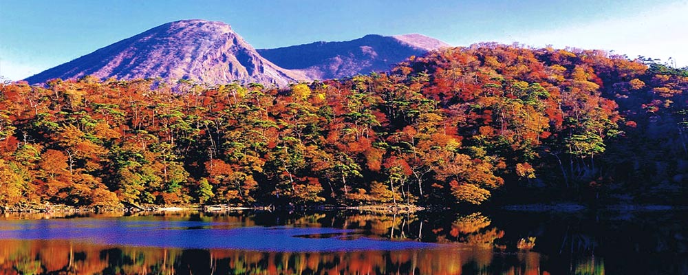 紅葉の写真