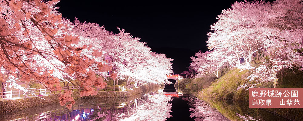 鹿野城跡公園