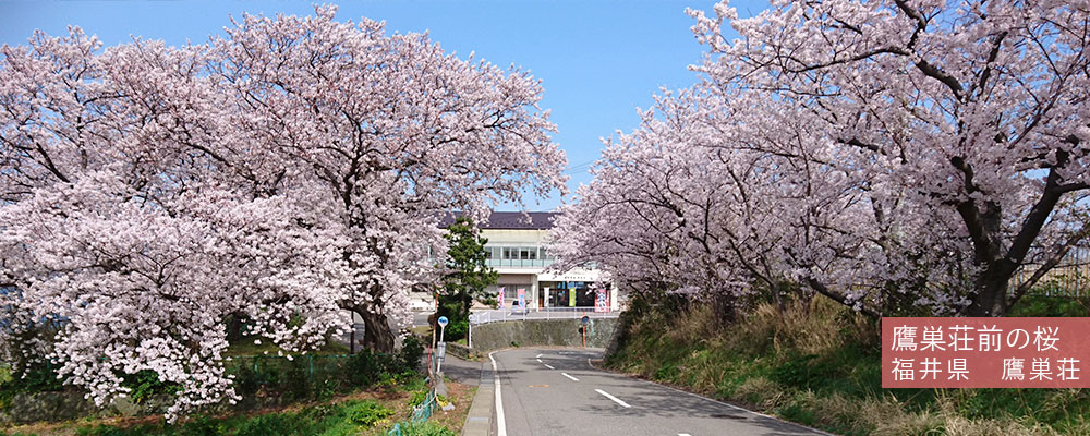 公営国民宿舎 公式 公営国民宿舎 公式
