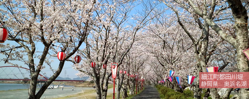 細江町都田川堤