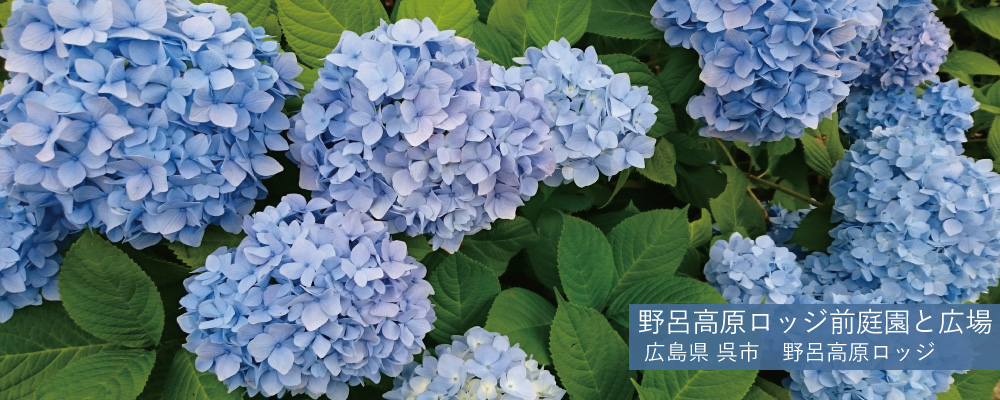 公営国民宿舎【公式】