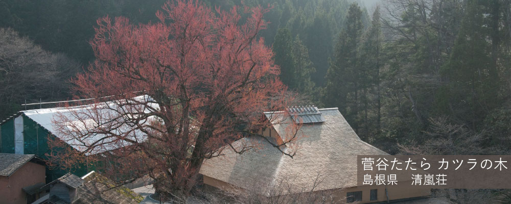 公営国民宿舎【公式】