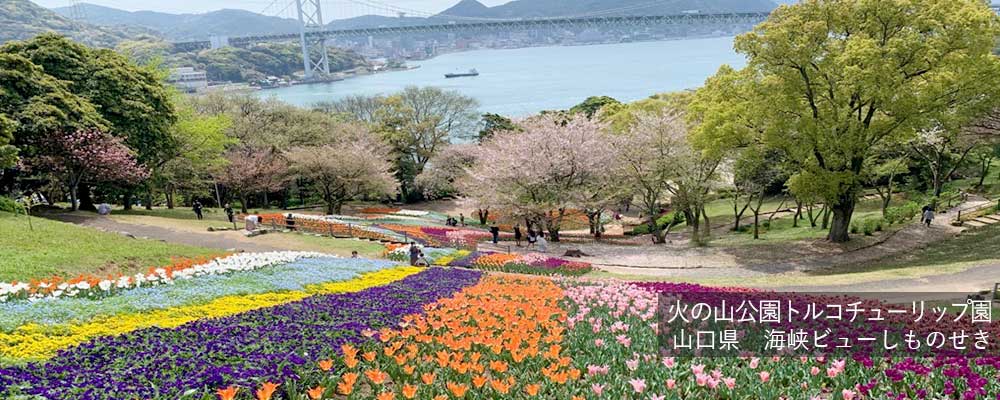 だれでも泊まれる全国公営の宿 公営国民宿舎【公式】